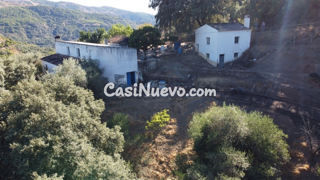 Suelo rústico en Venta en Farajan Málaga