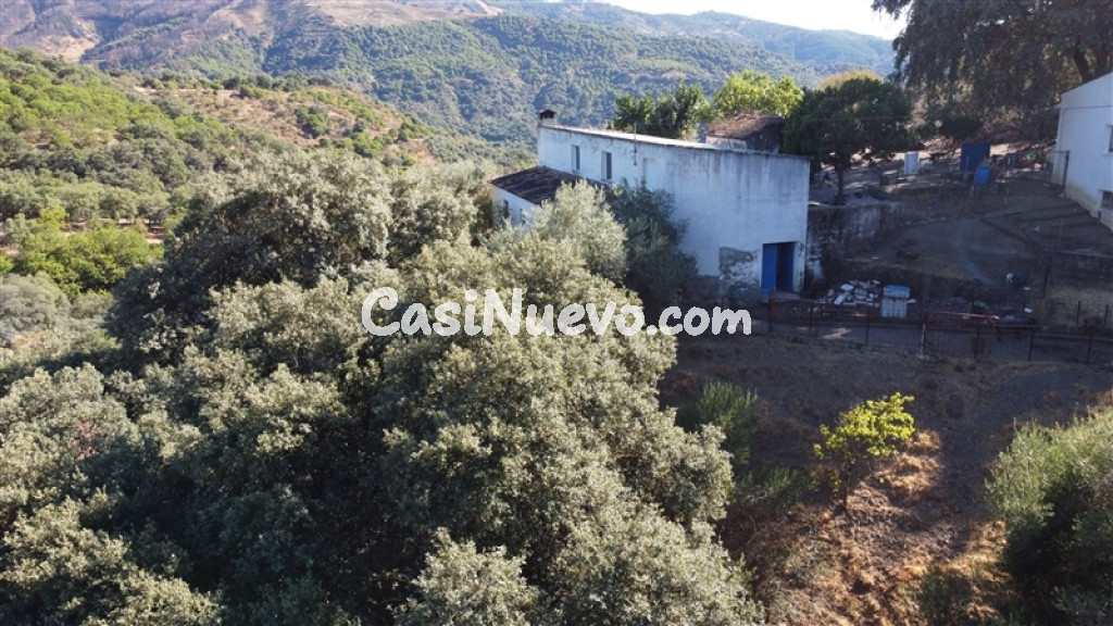 Suelo rústico en Venta en Farajan Málaga
