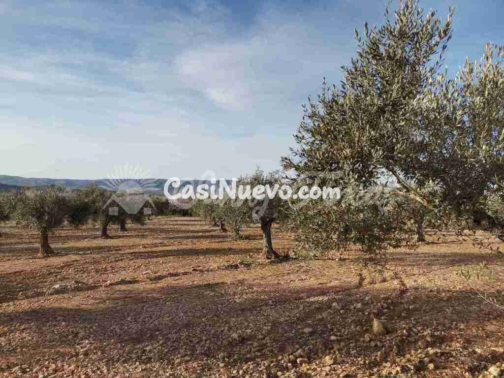 Suelo rústico en Venta en Biar Alicante