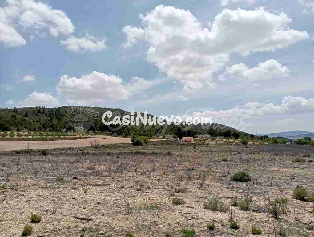 Suelo rústico en Venta en Yecla Murcia