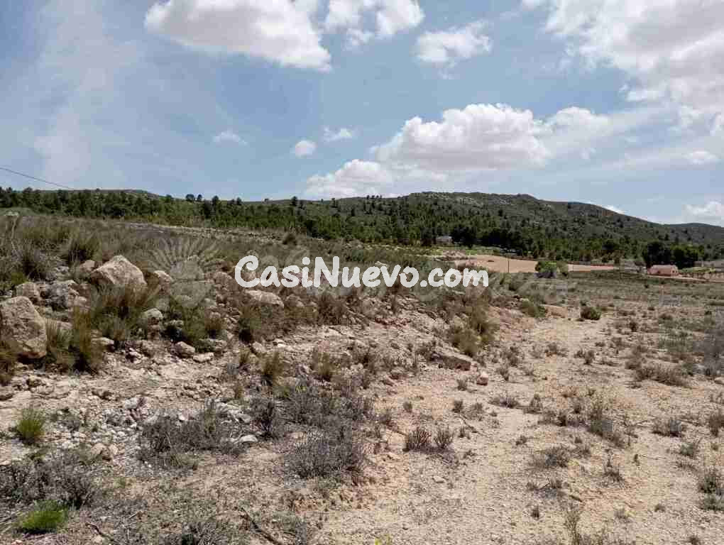Suelo rústico en Venta en Yecla Murcia