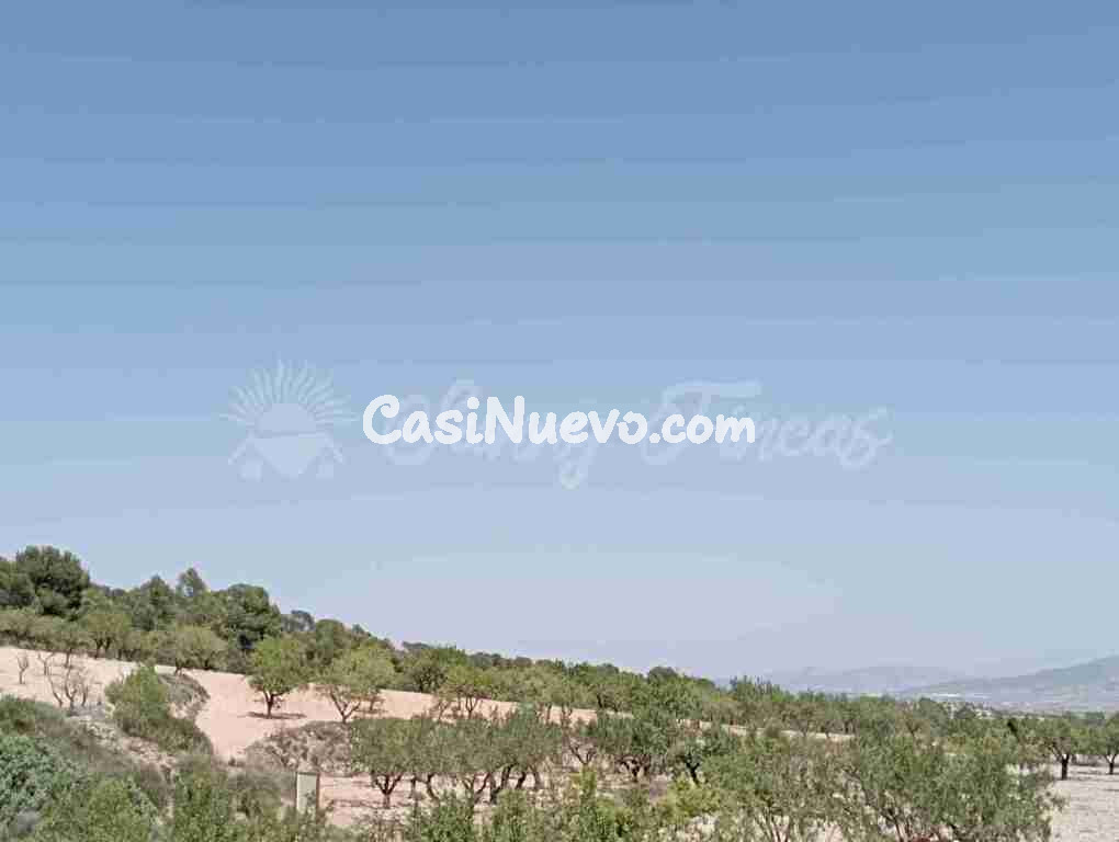 Suelo rústico en Venta en Jumilla Murcia