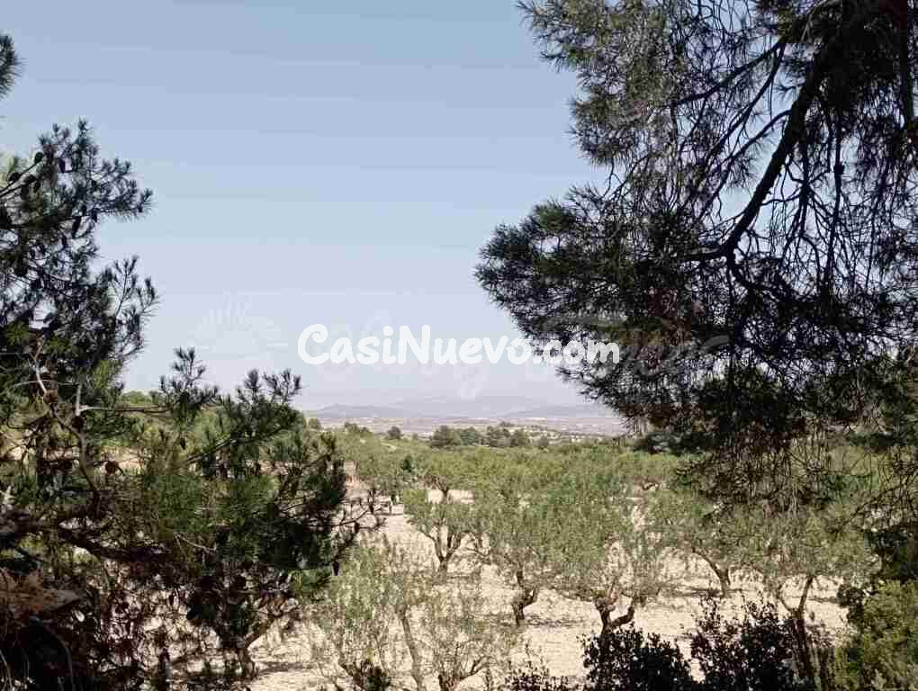 Suelo rústico en Venta en Jumilla Murcia