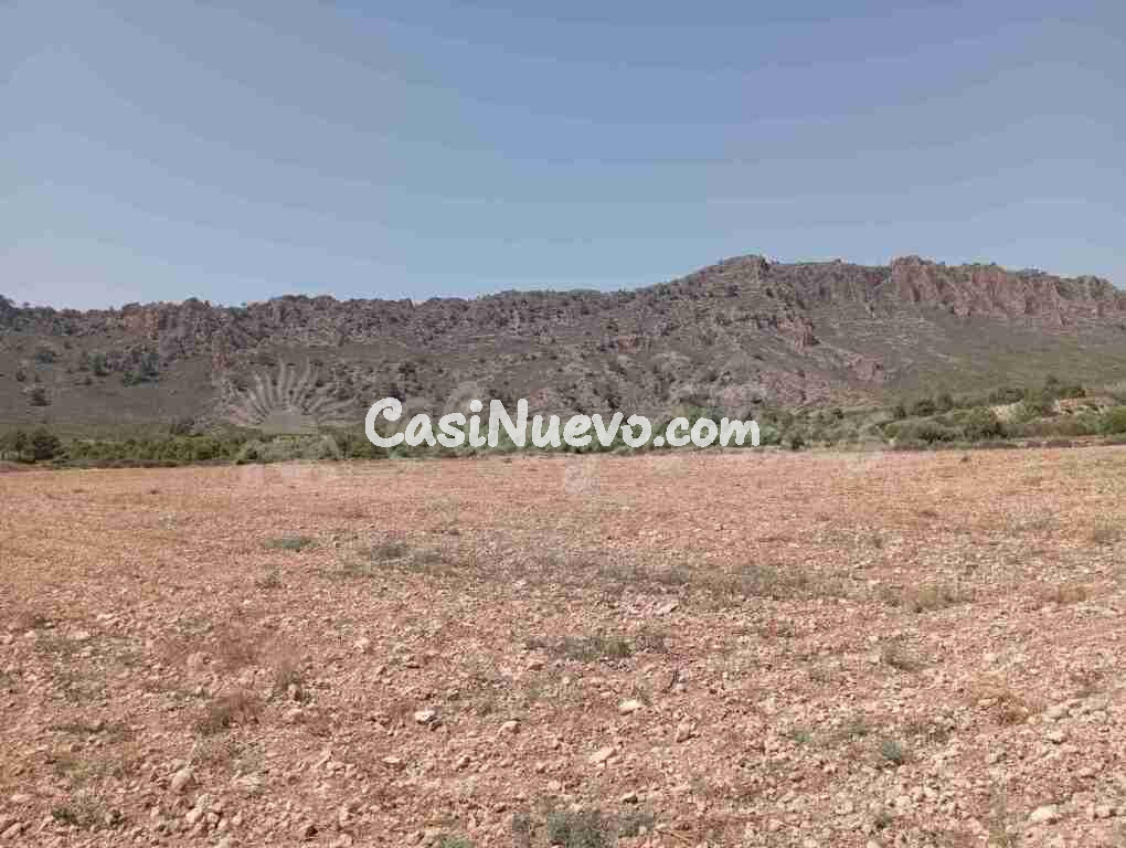 Suelo rústico en Venta en Yecla Murcia