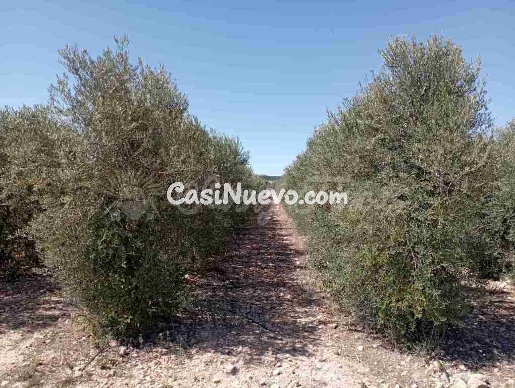 Suelo urbanizable en Venta en Caudete Albacete