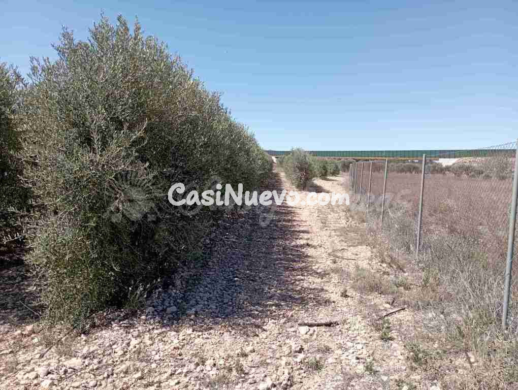 Suelo urbanizable en Venta en Caudete Albacete