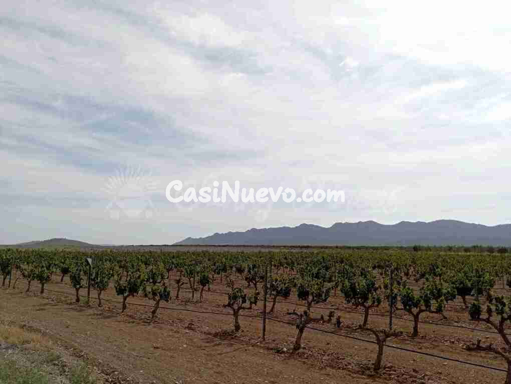 Suelo rústico en Venta en Yecla Murcia