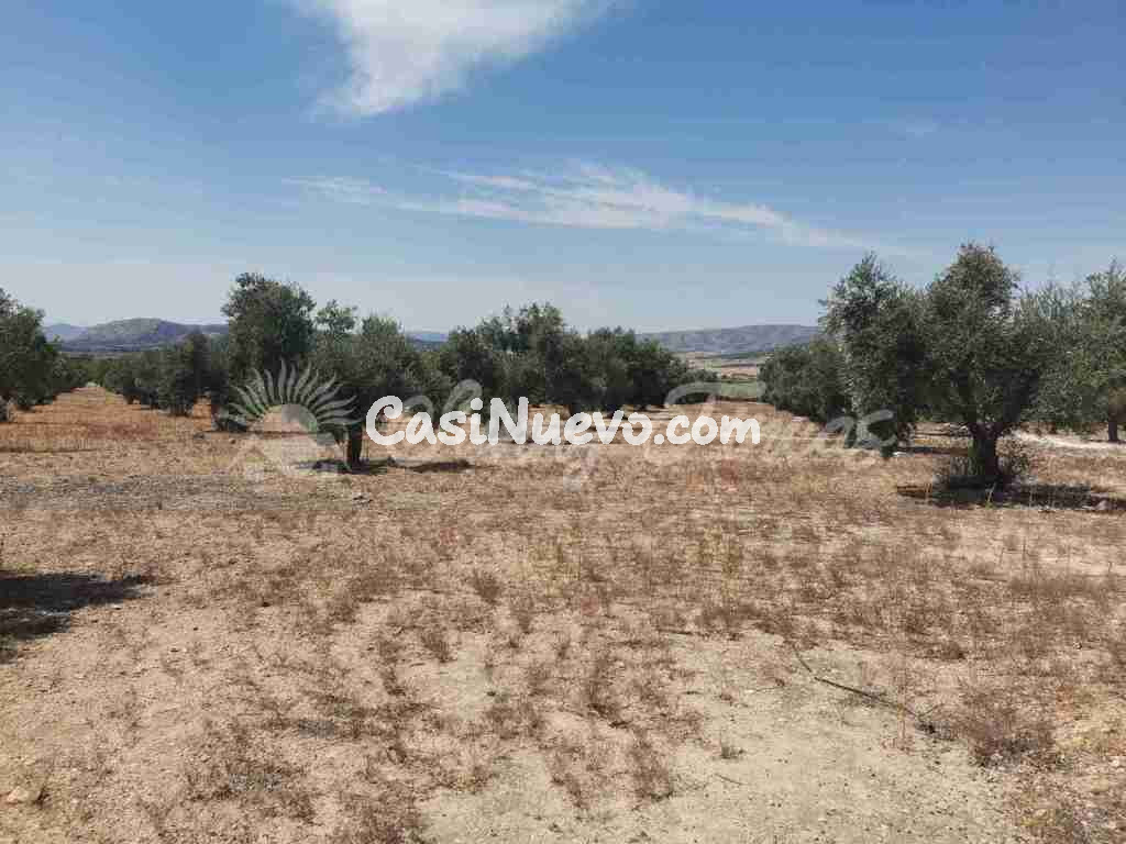 Suelo urbanizable en Venta en Biar Alicante