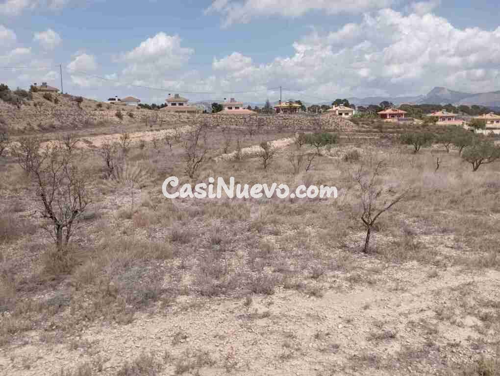 Suelo urbanizable en Venta en Monovar-Monover Alicante