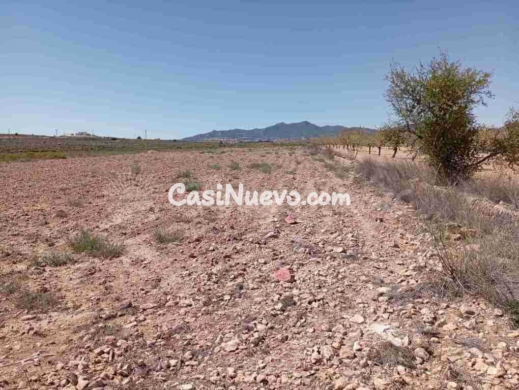 Suelo urbanizable en Venta en Pinoso Alicante