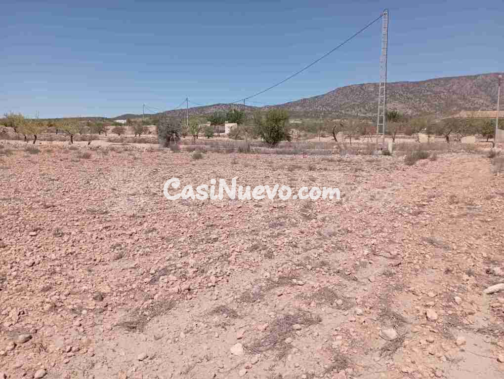 Suelo urbanizable en Venta en Pinoso Alicante