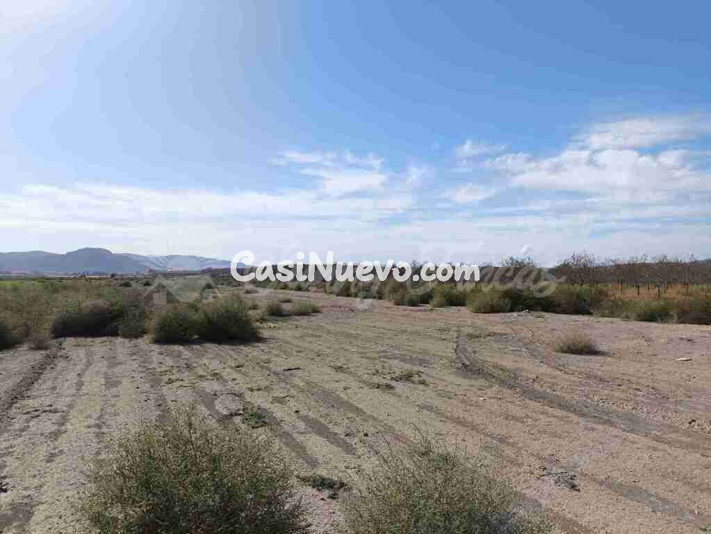 Suelo urbanizable en Venta en Villena Alicante