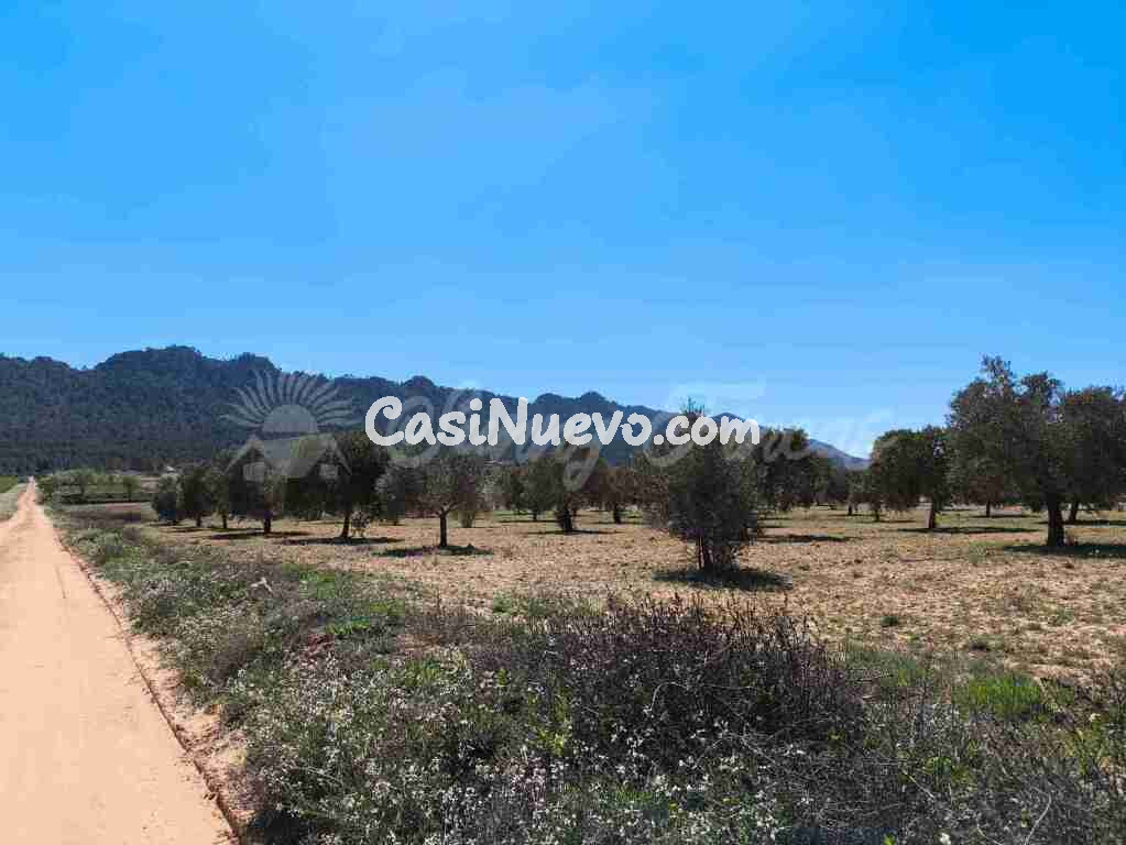 Suelo rústico en Venta en Yecla Murcia