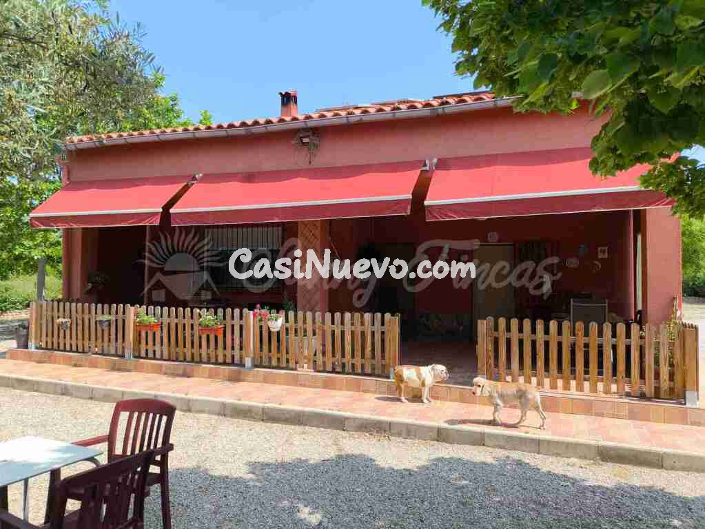Casa-Chalet en Venta en Almansa Albacete