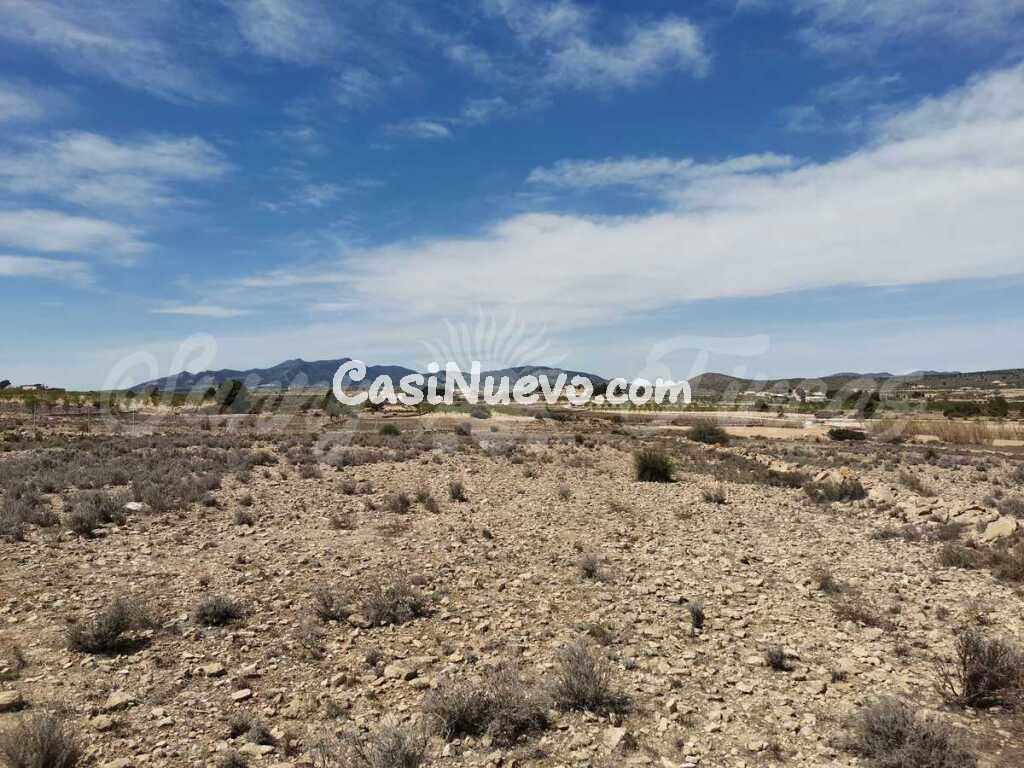 Suelo rústico en Venta en Pinoso Alicante
