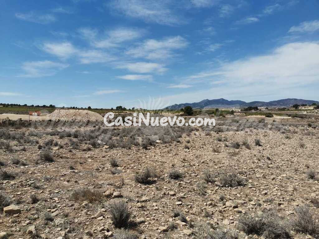 Suelo rústico en Venta en Pinoso Alicante