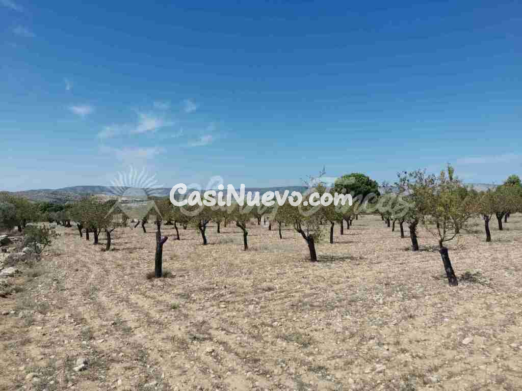 Parcela en Venta en Biar Alicante