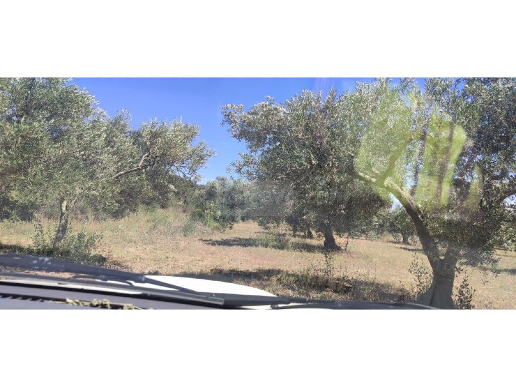 Parcela en Venta en Cantallops Girona - foto 3