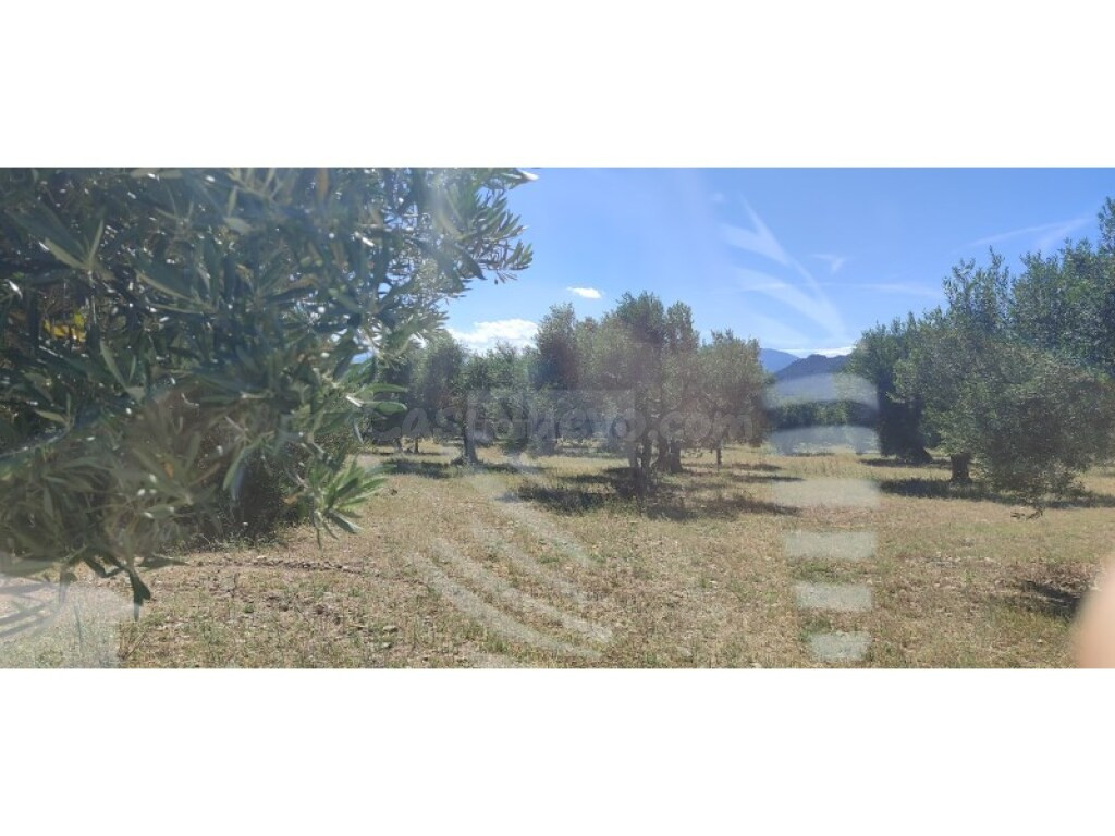 Parcela en Venta en Cantallops Girona - foto 5