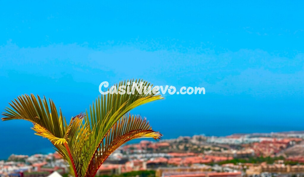 Apartamento en Venta en Adeje Santa Cruz de Tenerife
