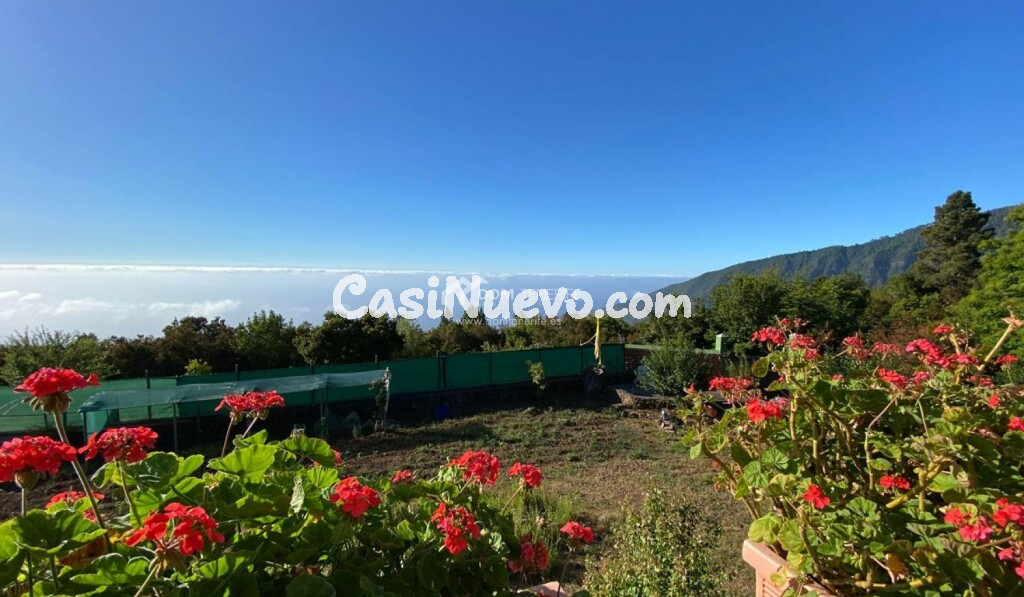 Casa de campo-Masía en Venta en Orotava, La Santa Cruz de Tenerife