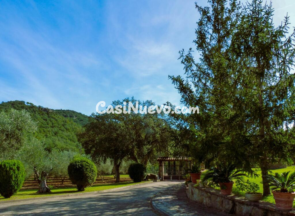 MASIA EN MAS ARTIGUES