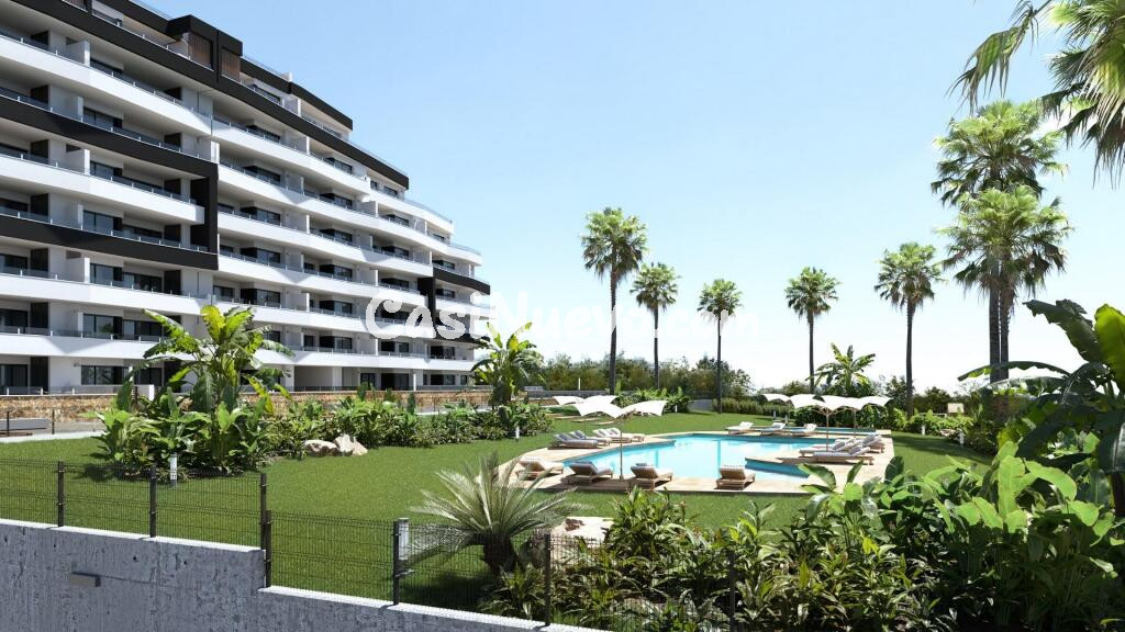 Nueva promoción residencial de San Miguel de Salinas a un paso del centro