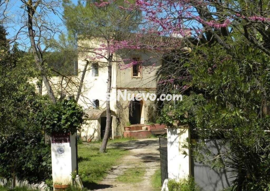 Casa rural con encanto en entorno natural privilegiado en el Alt Penedés.