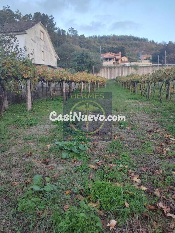 Se vende terreno rústico en Redondela, Saxamonde.