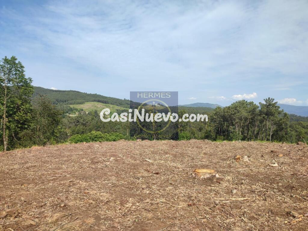 Terreno rusticos de 6164 M2 en Pexegueiro Tui
