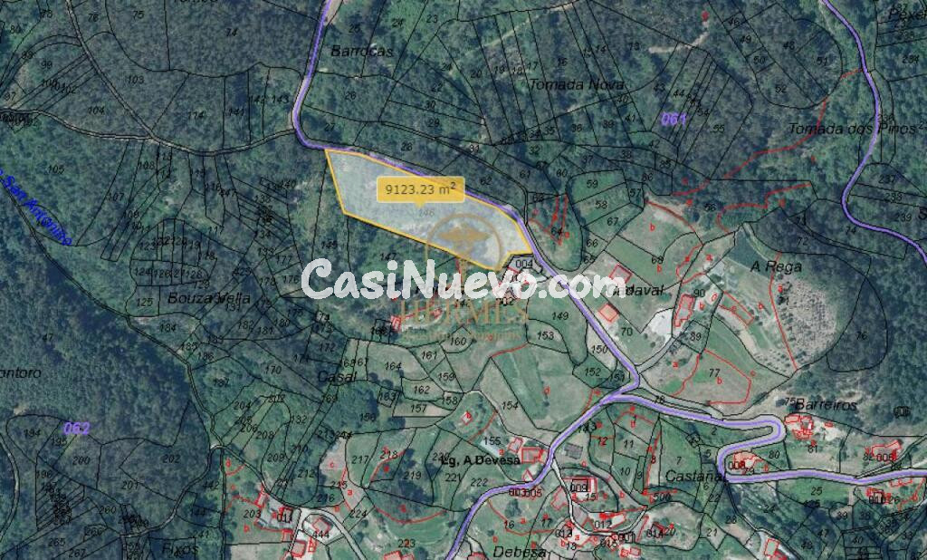 Terreno rustico ideal para explotacion 10.000 m2 en Tui