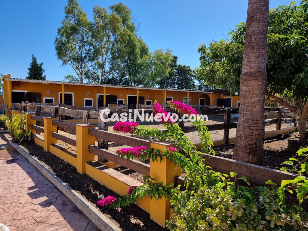 Casa de campo-Masía en Venta en Estepona Málaga