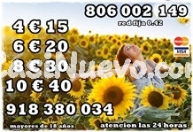 videncia y videntes del amor 918380034