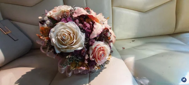 foto y video profesional tlalnepantla