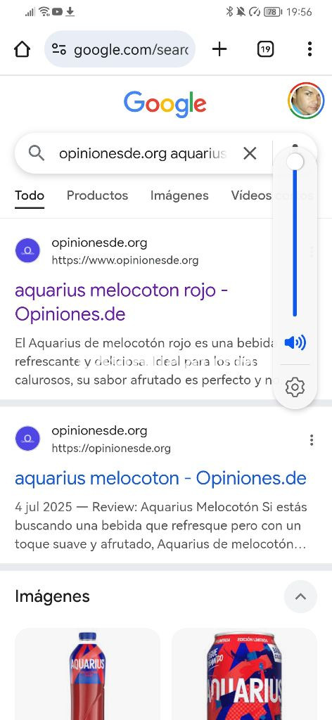 Plantas Suculentas de Colores Vibrantes