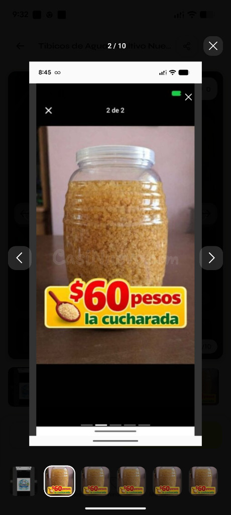 Búlgaros de Agua (Kéfir) - Kit Inicial - foto 2