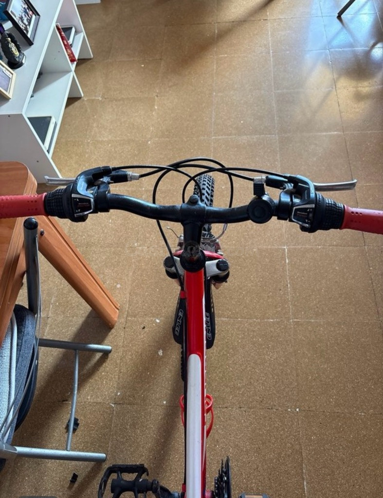 Bicicleta BH - foto 4