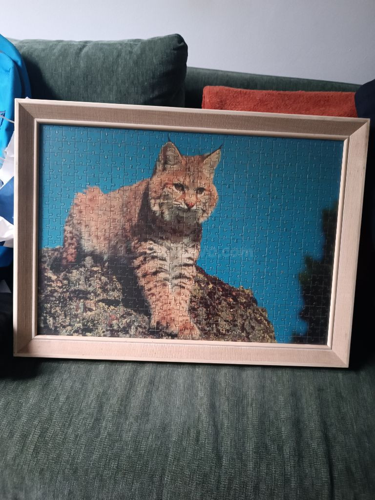 Puzzle Enmarcado Lince/Bobcat
