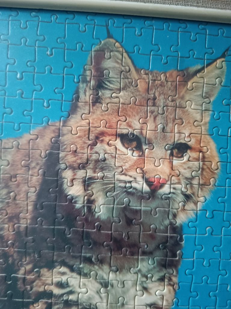 Puzzle Enmarcado Lince/Bobcat - foto 2