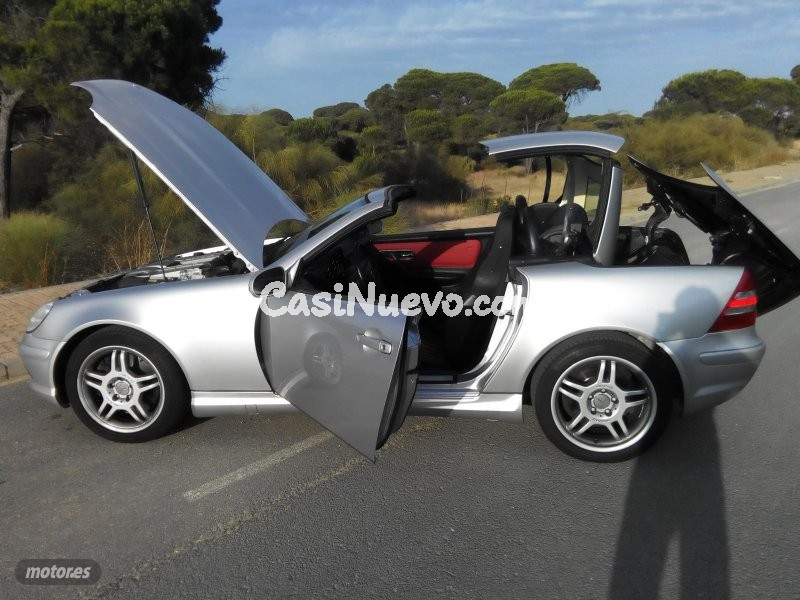 Mercedes Clase SLK