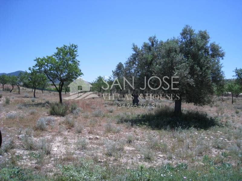 VENTA DE TERRENO EN HONDON DE LOS FRAILES