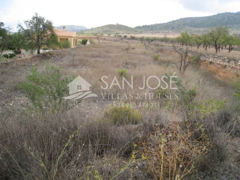 VENTA DE PARCELA EN HONDON DE LOS FRAILES