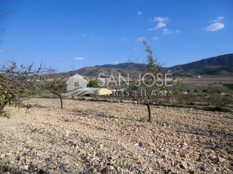 VENTA DE PARCELA EN HONDON DE LAS NIEVES