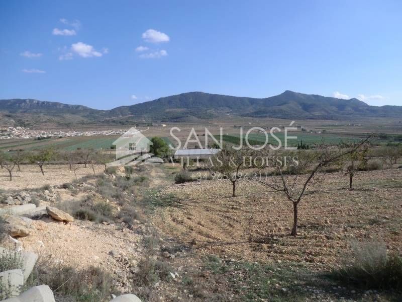 VENTA DE PARCELA EN HONDON DE LAS NIEVES