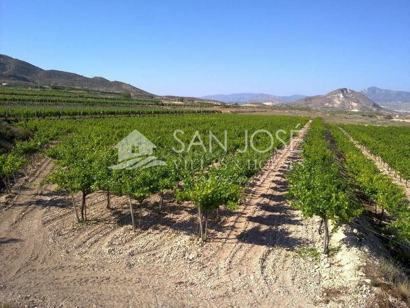 Inmobiliaria San Jose vende parcela en Novelda, Costa Blanca, Alicante