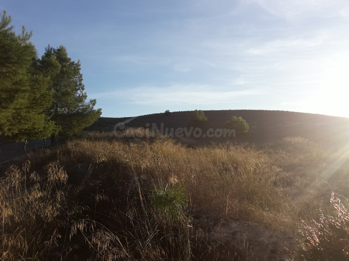 SE VENDE PARCELA RUSTICA EN ASPE ZONA UCHEL
