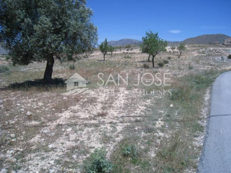 VENTA DE TERRENO EN HONDON DE LOS FRAILES