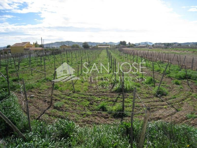 VENTA DE TERRENO RURAL EN ZONA HORNA EN ASPE