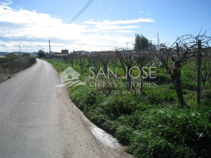 VENTA DE TERRENO RURAL EN ZONA HORNA EN ASPE - foto 2