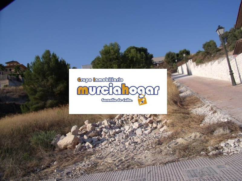 SOLAR URBANO EN LA ALCAYNA.